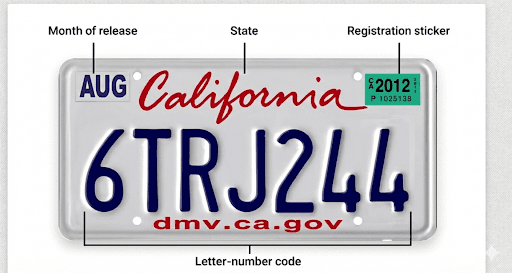 License Plate Design and Formats